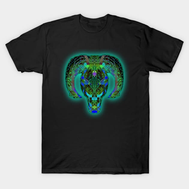 Aries 5c Black T-Shirt by Boogie 72